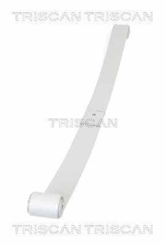TRISCAN 8765 10008 Blattfeder Hinten f&uuml;r Nissan,Renault,Opel