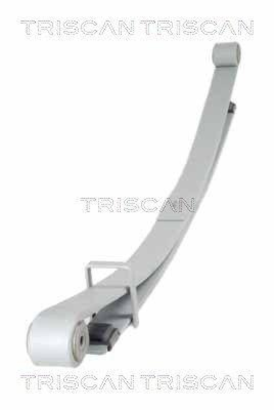 TRISCAN 8765 10011 Blattfeder Hinten f&uuml;r Nissan, Opel, Renault