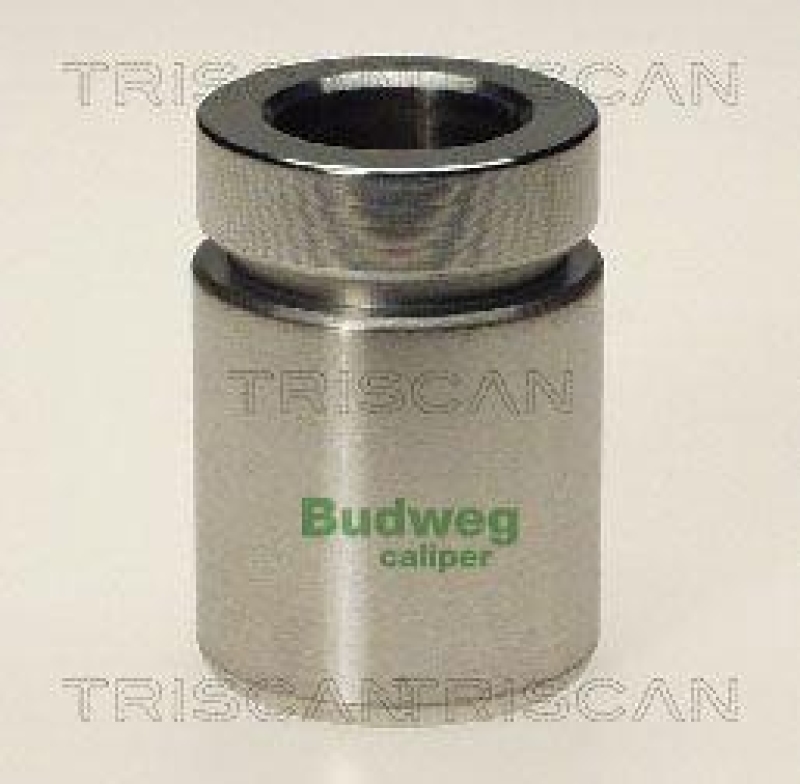 TRISCAN 8170 233413 Kolben f&uuml;r Bmw