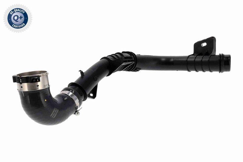 VAICO V46-1558 Ladeluftschlauch für RENAULT