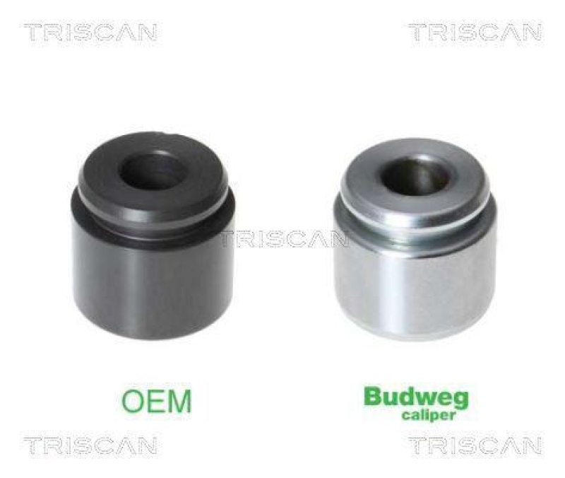 TRISCAN 8170 233424 Kolben f&uuml;r Audi