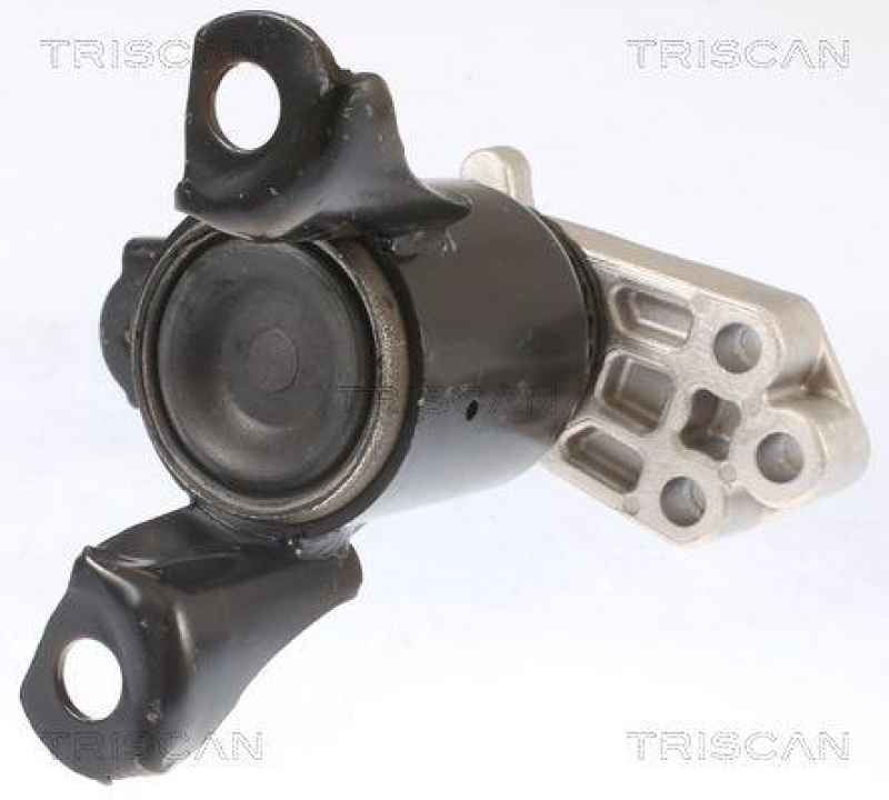 TRISCAN 8505 16102 Motoraufh&auml;ngung f&uuml;r Ford