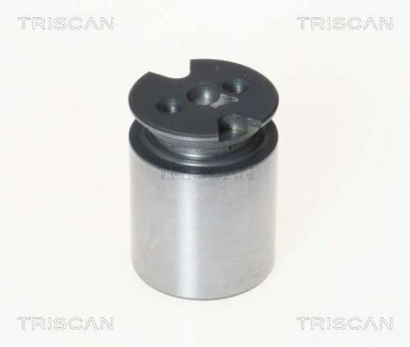 TRISCAN 8170 233860 Kolben f&uuml;r Citroen