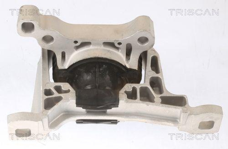 TRISCAN 8505 16111 Motoraufh&auml;ngung f&uuml;r Ford