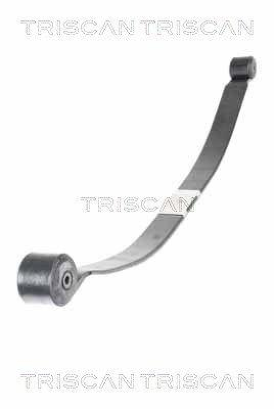 TRISCAN 8765 16051 Blattfeder Hinten für Ford Transit