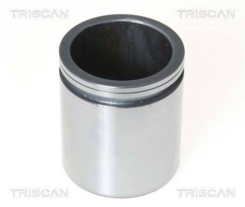 TRISCAN 8170 234871 Kolben f&uuml;r Opel, Nissan, Renault