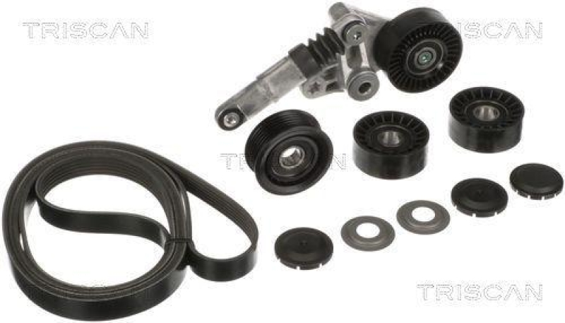 TRISCAN 8642 29019 Keilrippenriemensatz f&uuml;r Audi