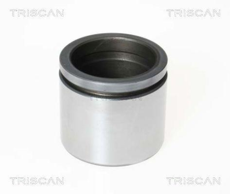 TRISCAN 8170 236049 Kolben f&uuml;r Bmw