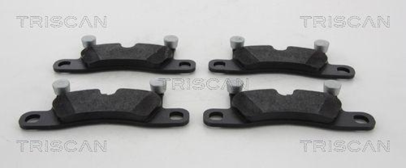 TRISCAN 8110 20005 Bremsbelag Hinten für Porsche Cayenne