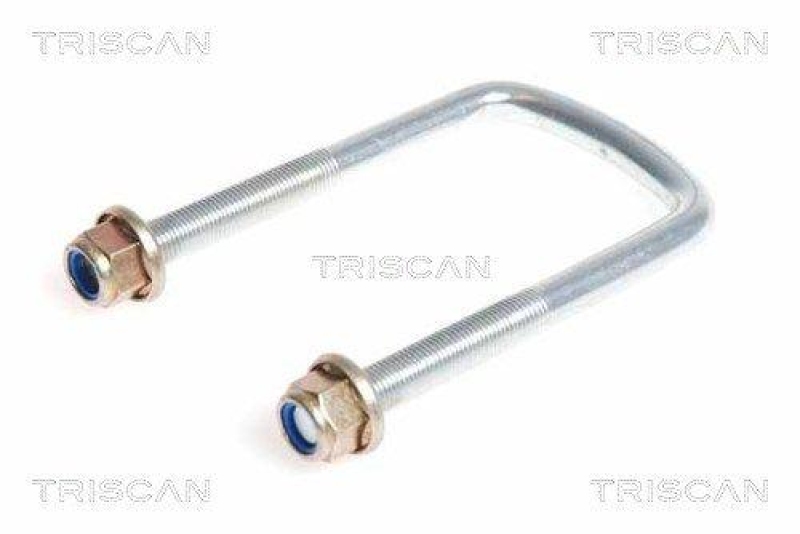 TRISCAN 8765 250001 Federbride f&uuml;r Renault