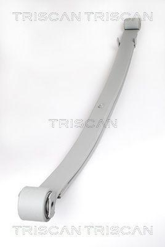 TRISCAN 8765 10005 Blattfeder Hinten f&uuml;r Citroen, Fiat, Peug.