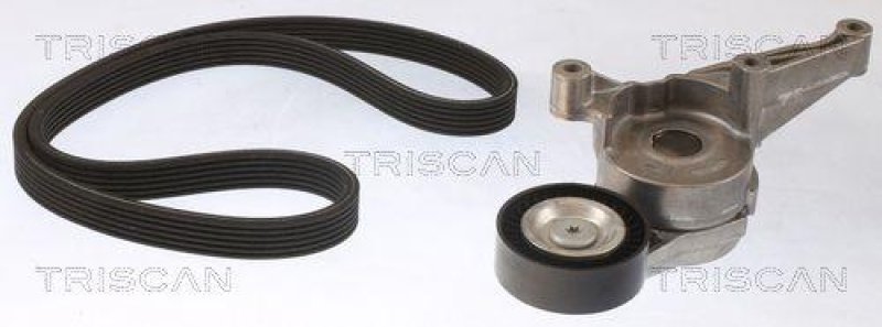 TRISCAN 8642 29050 Keilrippenriemensatz