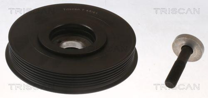 TRISCAN 8643 10001a Riemenscheibe für Fiat, Psa