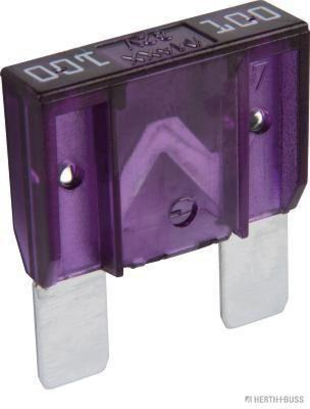 HERTH+BUSS 50295550 Sicherung Maxi, 100 A