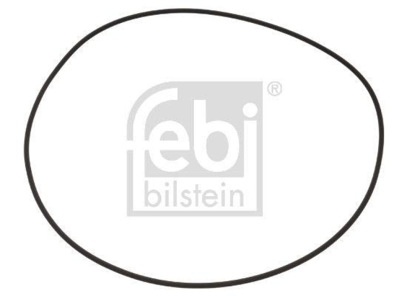 FEBI BILSTEIN 100256 Dichtring für Radnabe für Iveco