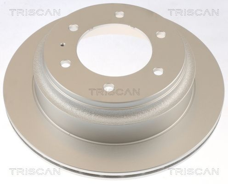 TRISCAN 8120 10181C Bremsscheibe beschichtet hinten