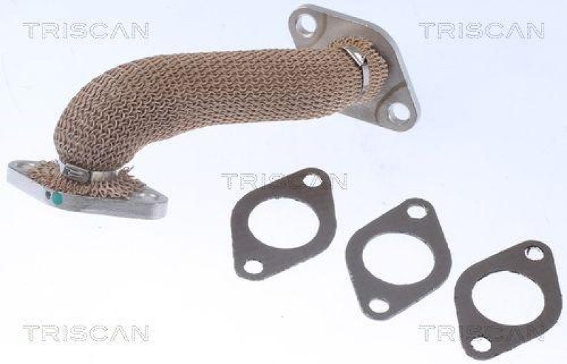 TRISCAN 8811 29105 Rohrleitung, Agr Ventil f&uuml;r Vag