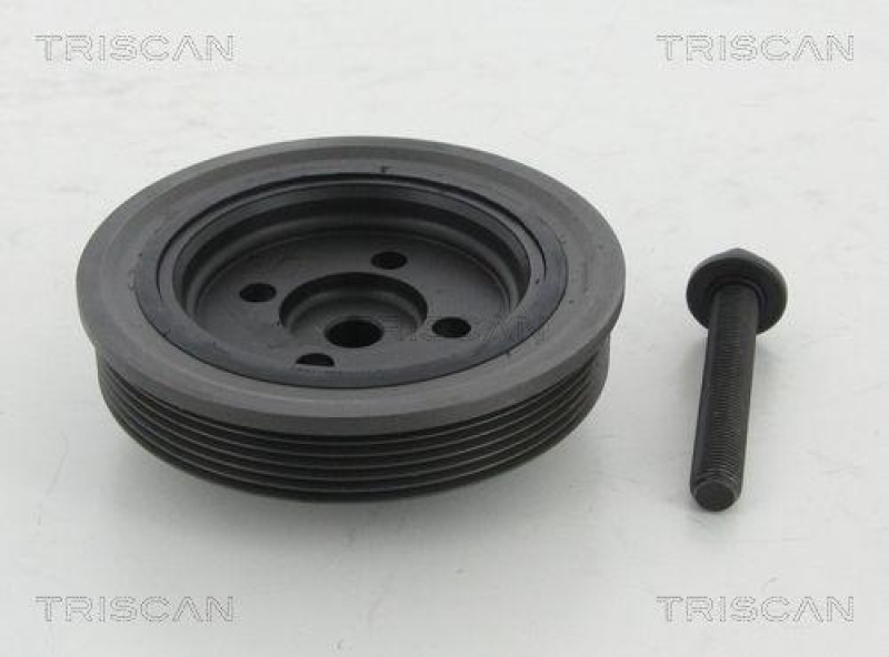 TRISCAN 8643 16002a Riemenscheibe f&uuml;r Ford