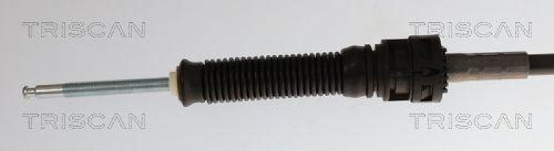TRISCAN 8140 29729 Seilzug, Schaltgetriebe Manuel für Vag