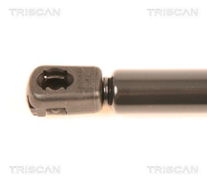 TRISCAN 8710 29252 Gasfeder Hinten für Audi Tt Cabriolet
