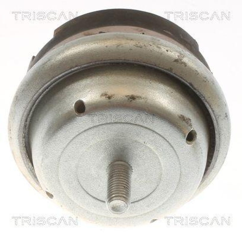 TRISCAN 8505 28114 Motoraufh&auml;ngung f&uuml;r Citroen, Peugeot