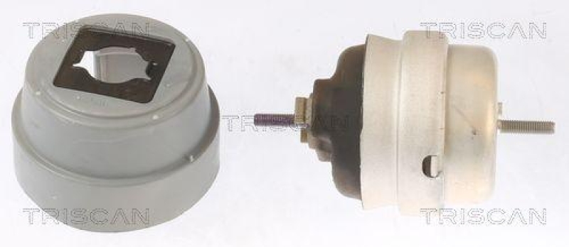 TRISCAN 8505 29101 Motoraufh&auml;ngung f&uuml;r Audi, Seat