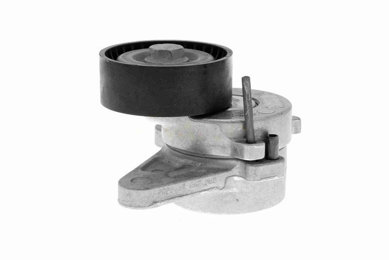 VAICO V10-3703 Riemenspanner, Keilrippenriemen Keilrippenriemen für VW