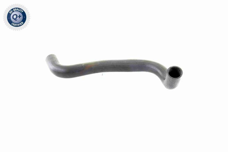 VAICO V30-0222 K&uuml;hlerschlauch K&uuml;hler, Anschlu&szlig; unten f&uuml;r MERCEDES-BENZ