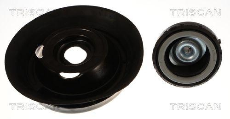 TRISCAN 8500 23915 Federbeinlagersatz für Mercedes C-Class