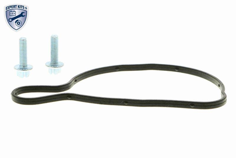 VAICO V10-50063 Wasserpumpe, Motork&uuml;hlung mit Dichtungssatz f&uuml;r VW