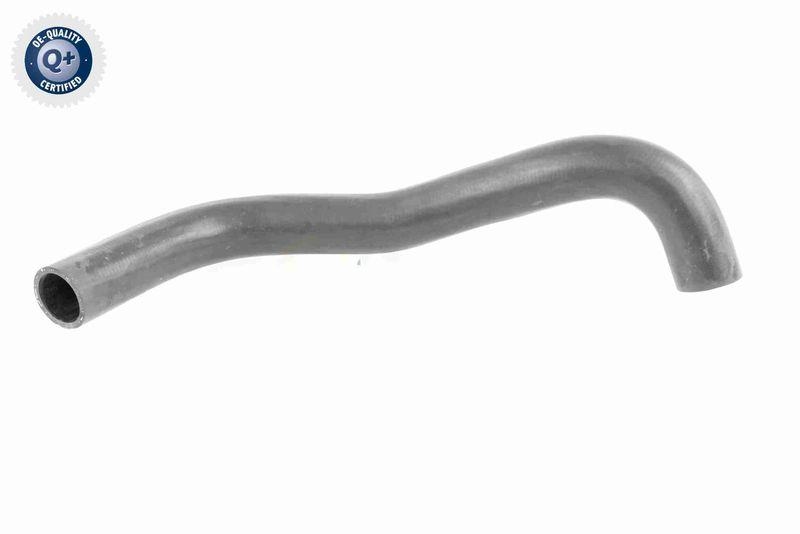 VAICO V30-0251 K&uuml;hlerschlauch K&uuml;hler, Anschlu&szlig; unten f&uuml;r MERCEDES-BENZ