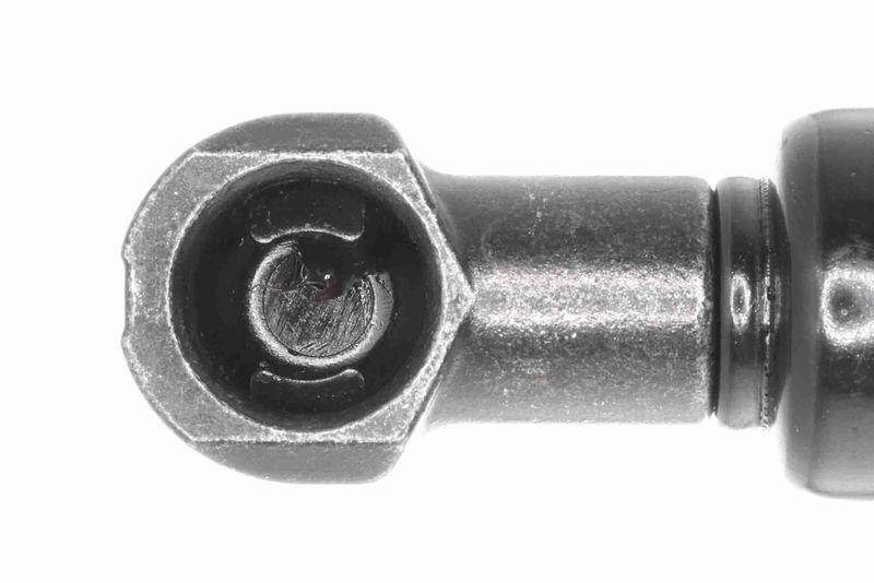 ACKOJA A70-0123 Gasfeder, Koffer-/Laderaum f&uuml;r TOYOTA