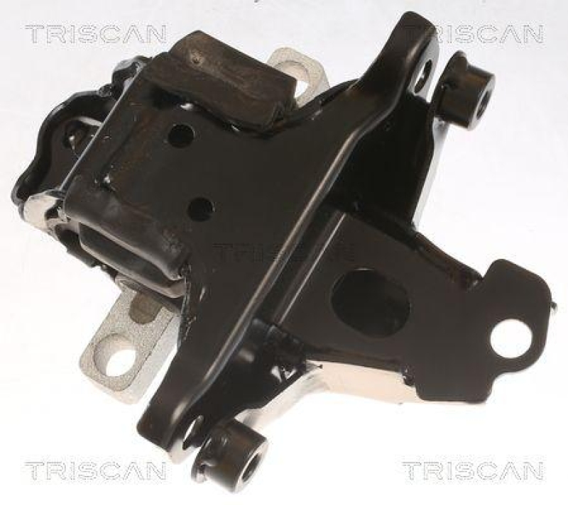 TRISCAN 8505 29139 Motoraufh&auml;ngung f&uuml;r Audi, Seat, Skoda, Vw