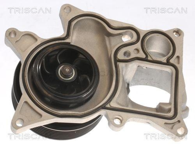 TRISCAN 8600 11060 Wasserpumpe f&uuml;r Bmw