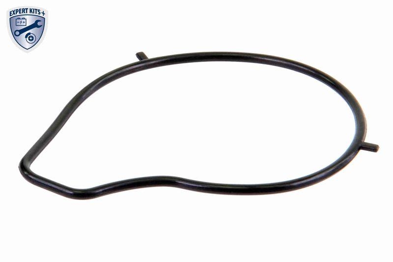 ACKOJA A32-50011 Wasserpumpe, Motorkühlung mit Dichtung für MAZDA