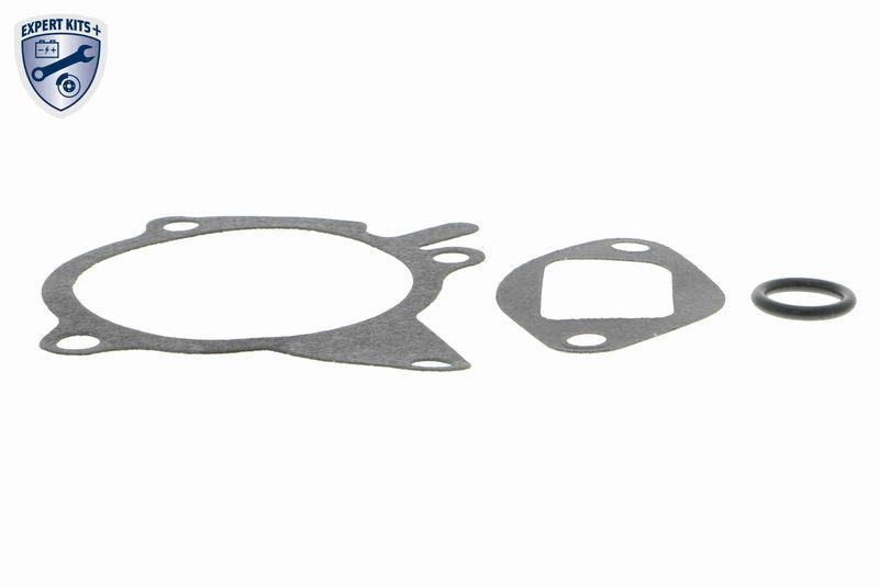 ACKOJA A32-50013 Wasserpumpe, Motorkühlung mit Dichtung für MAZDA