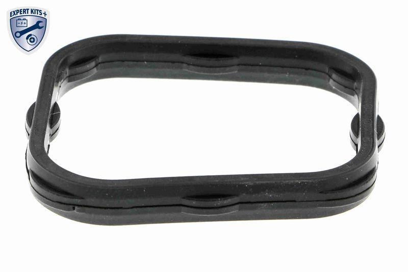 ACKOJA A32-50014 Wasserpumpe, Motorkühlung mit Dichtung für MAZDA