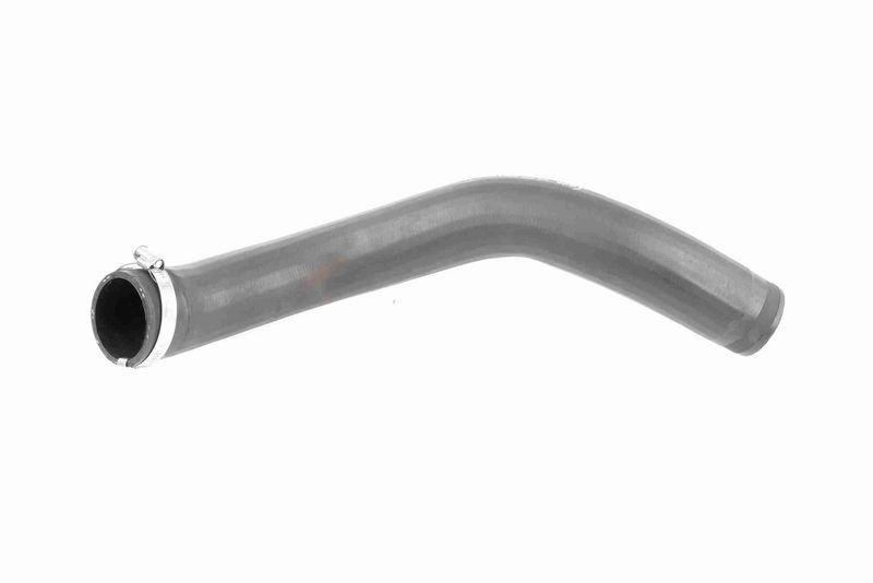 VAICO V10-3777 Ladeluftschlauch für VW