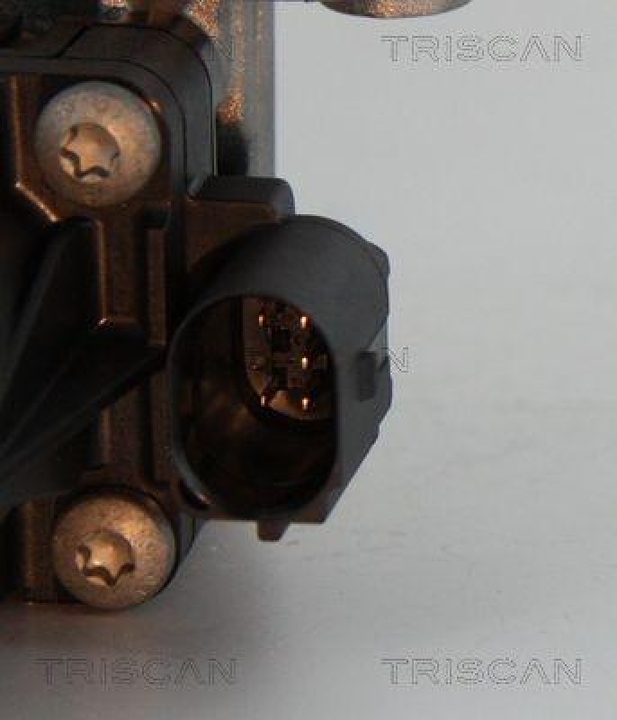 TRISCAN 8813 10004 Agr Ventil f&uuml;r Psa/Fiat/Gm