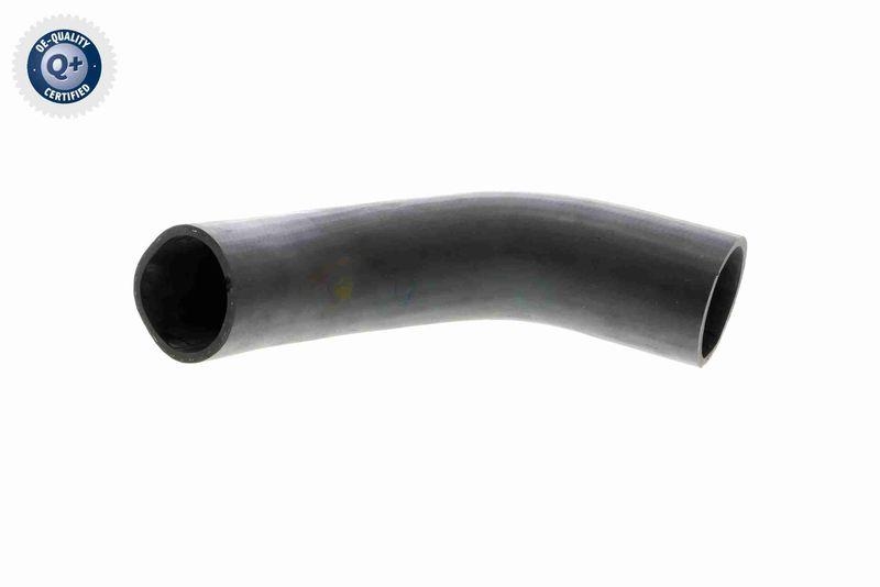 VAICO V10-3779 Ladeluftschlauch f&uuml;r VW