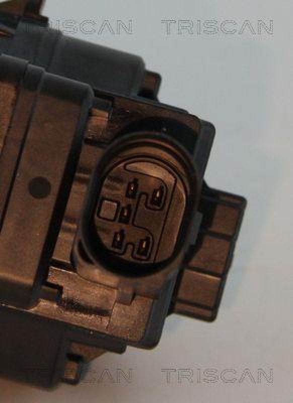 TRISCAN 8813 10006 Agr Ventil f&uuml;r Psa/Fiat/Gm
