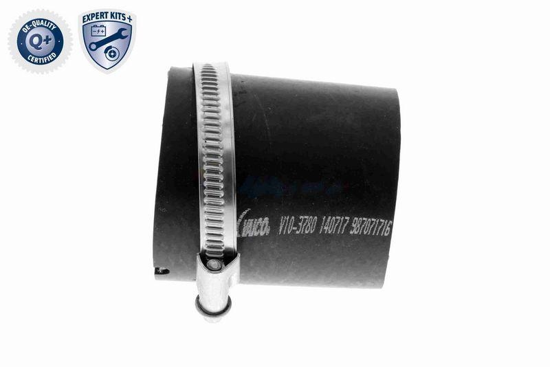 VAICO V10-3780 Ladeluftschlauch f&uuml;r VW