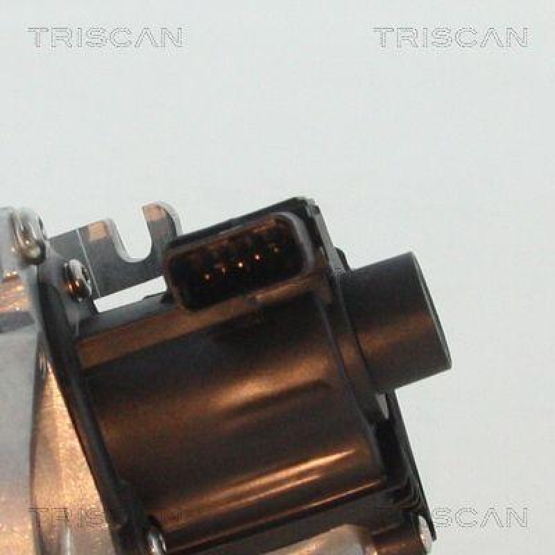 TRISCAN 8813 10007 Agr Ventil f&uuml;r Ford/Volvo/Mazda
