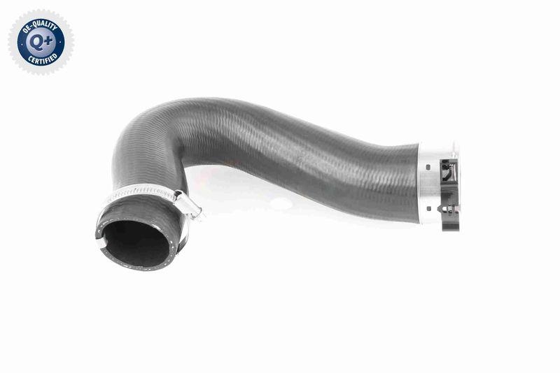 VAICO V10-3782 Ladeluftschlauch f&uuml;r VW
