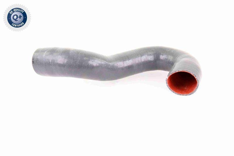 VAICO V10-3784 Ladeluftschlauch f&uuml;r VW