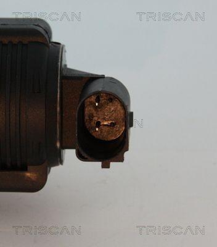 TRISCAN 8813 10015 Agr Ventil f&uuml;r Opel/Fiat/Gm