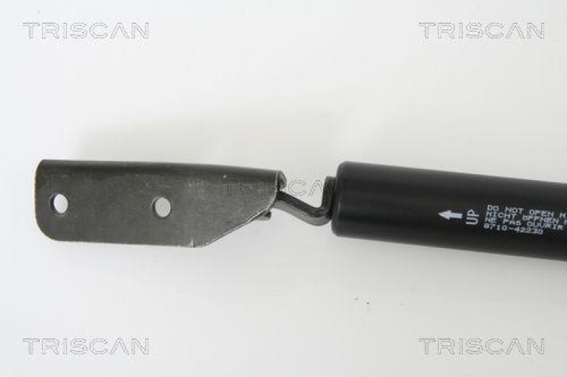TRISCAN 8710 42230 Gasfeder Hinten f&uuml;r Mitsubishi L400