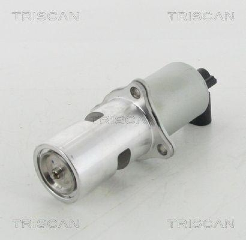 TRISCAN 8813 10100 Agr Ventil f&uuml;r Renault/Nissan