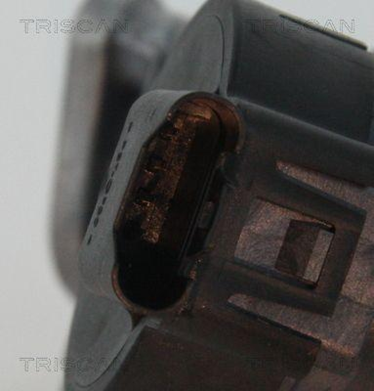 TRISCAN 8813 11006 Agr Ventil f&uuml;r Bmw