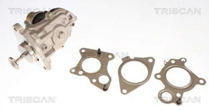 TRISCAN 8813 11007 Agr Ventil f&uuml;r Bmw
